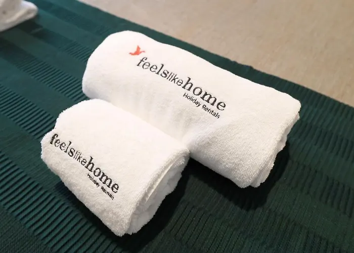 Flh Spacious Flat Oporto